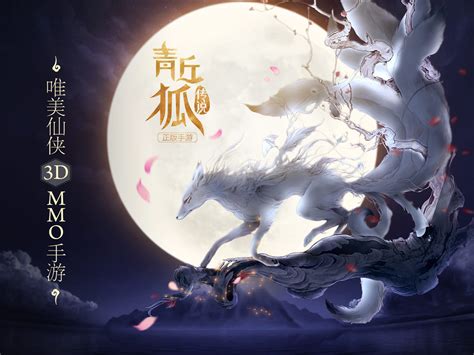 青狐图片