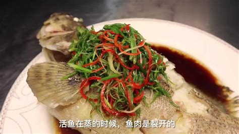 【东海石斑鱼火锅的做法步骤图，怎么做好吃】神州钓鱼网_下厨房