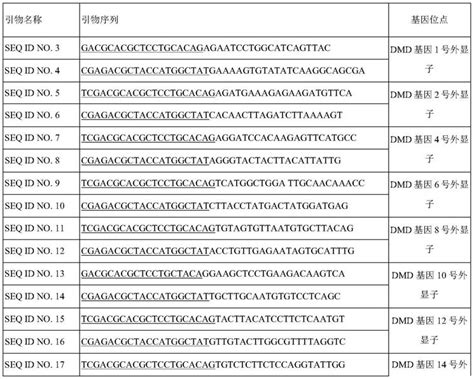一种X连锁DMD基因突变体的检测试剂盒、检测方法及其应用
