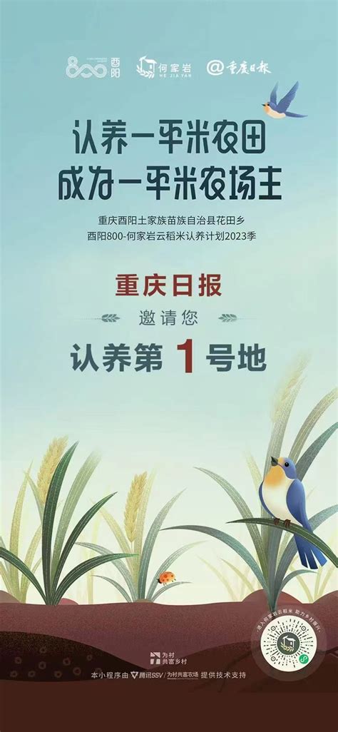 重庆日报发出邀请 来何家岩村认养稻田成为“农场主” - 重庆日报网