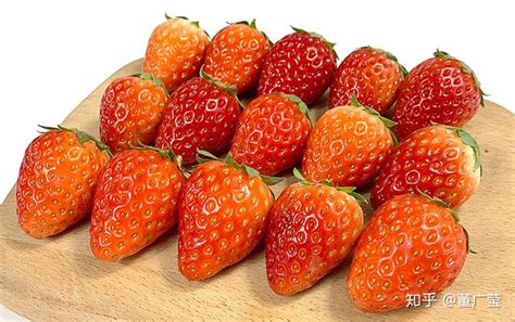 如何实现草莓自由 草莓种植神级攻略-花草百科