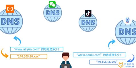 一张图看懂DNS域名解析全过程 - 知乎