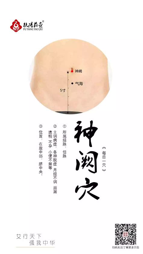 神阙贴怎么贴图片