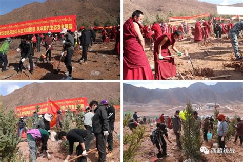 昌都市统战系统积极参加2020年义务植树活动_工作动态_西藏统一战线
