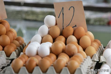 全国鸡蛋价格最新行情走势（目前鸡蛋多少钱一斤） - 上海资讯网