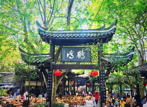 成都人民公园内的传统茶馆高清图片下载-正版图片500591377-摄图网