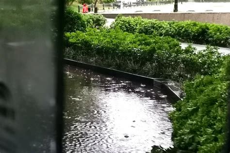 郑州这场雨要下到啥时候？本周除周四“中场休息” 六天都有降水-大河网