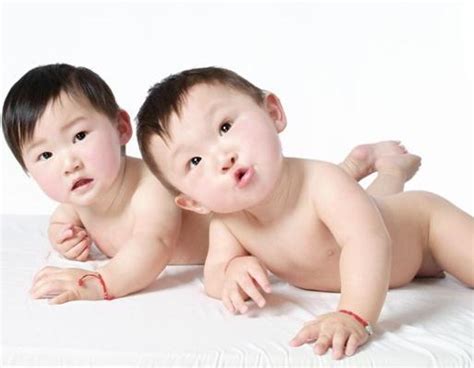 双胞胎龙凤胎乳名：这类宝宝小名模式彻底告别“犬”时代！|范晔|小名|易林_新浪新闻