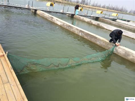 安徽巢湖项目 - 万康渔业、IPA循环流水、水产养殖、循环流水养殖