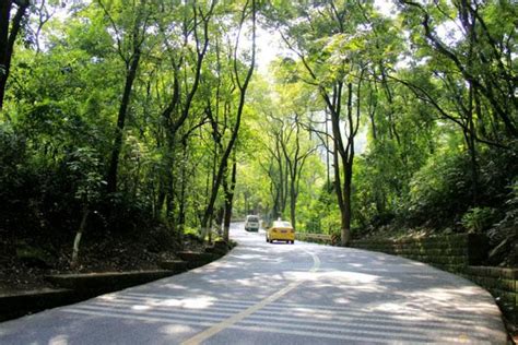 重庆市地图旅游，重庆在四川地图位置