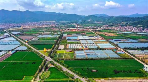 到2025年，舟山全市要建50个未来乡村_舟山_新闻中心_长江网_cjn.cn