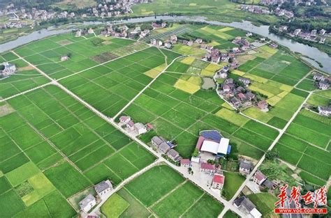 湖南省累计建成高标准农田3805万亩 农民增收致富有保障 - 今日关注 - 湖南在线 - 华声在线