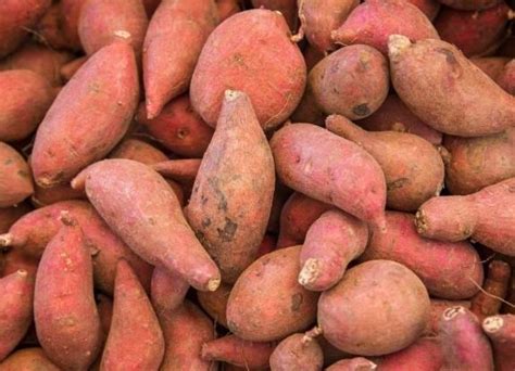 紫薯和红薯有何区别?哪个营养价值更高?很多人不懂,看完涨知识