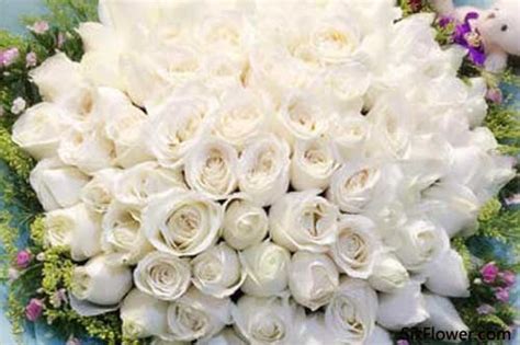 33朵白玫瑰的花语是什么？33朵白玫瑰代表什么意思？-六朵花