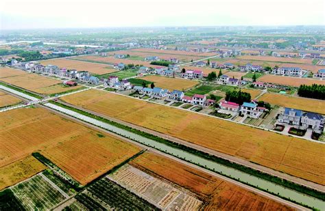 如东县高标准农田建设项目实际进度已达75%以上-如东县人民政府