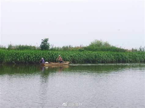 阜宁马家荡