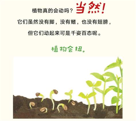 绿色植物儿童图画书书籍封面插画设计[17P]