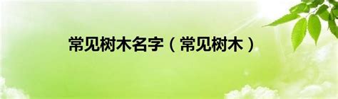 2024华南农业大学-树木园游玩攻略,...树上都写上来树的名字，树...【去哪儿攻略】