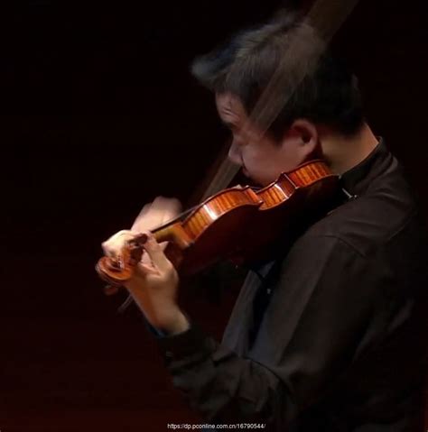 世界著名大提琴演奏家,小提琴演奏家,现代小提琴演奏家_大山谷图库
