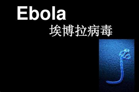 埃博拉，生命的黑板擦！埃博拉疫情爆发，世卫组织宣布紧急状态
