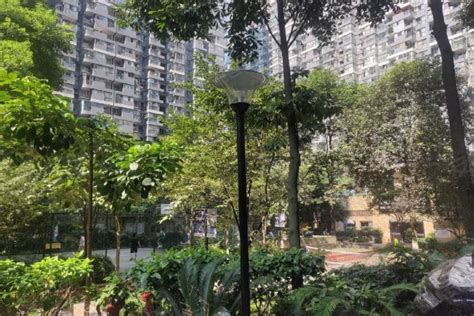 锦江城市花园一期,喜树街780号-成都锦江城市花园一期二手房、租房-成都安居客