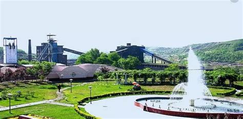 集团网：铜川矿业公司让“绿色”长满山坡-铜川矿务局