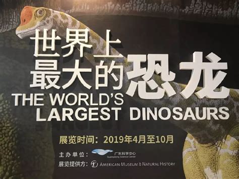 世界最大恐龙展登陆广州！带你探秘“侏罗纪”|恐龙展|恐龙|世界_新浪新闻