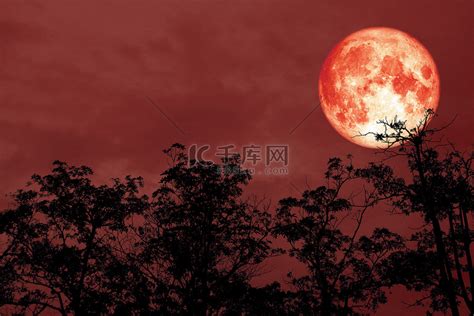 血红的月亮背侧影树夜晚红色的天空高清摄影大图-千库网