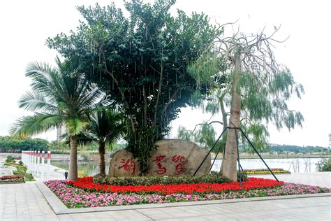 2020鸳鸯湖公园-旅游攻略-门票-地址-问答-游记点评，阳江旅游旅游景点推荐-去哪儿攻略