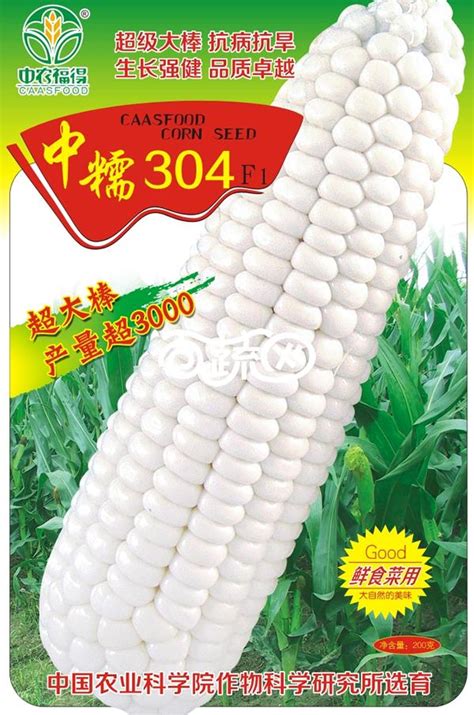 热烈祝贺玉米新品种正大“渝单59”通过国家级审定_正大种业