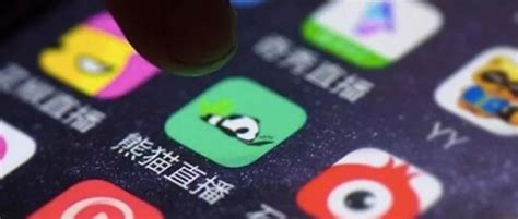 熊猫TV确定9月21日正式上线 王思聪奖励主播1000万_蚕豆网新闻