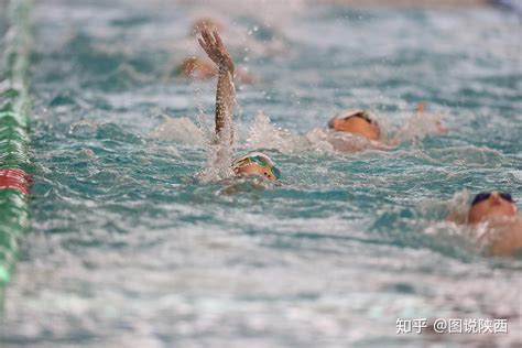 “洲克·泳者之星”2023年金华市“迎春杯”青少年（儿童）游泳比赛开赛