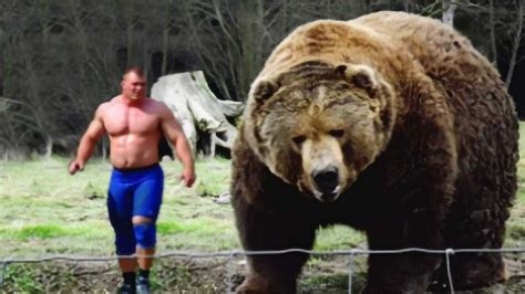世界上哪种熊最大？北极熊还是棕熊？和这种史前巨熊相比都太小了|棕熊|北极熊|熊科_新浪新闻