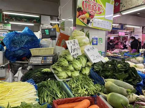 大学生直播卖菜，每天3000斤，月入20000元！-长江蔬菜