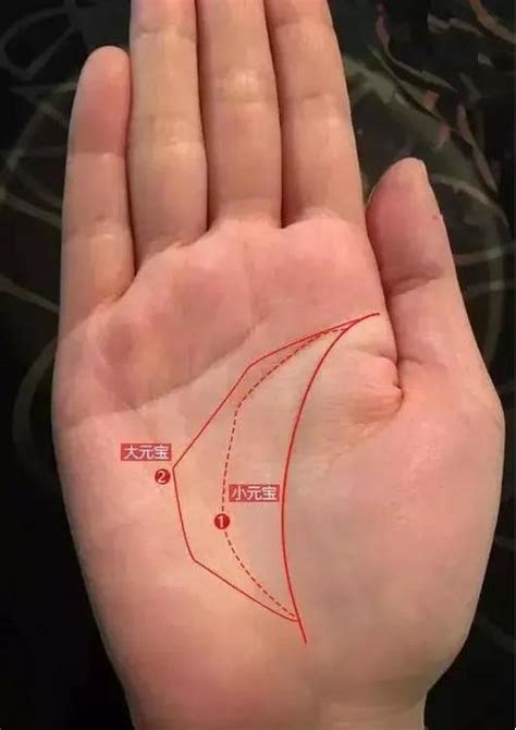 手掌掌纹三角形在手相中作何解释 手相有三角形代表什么-周易算命网