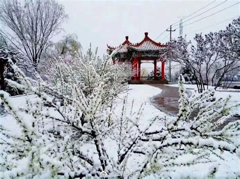 4月下雪什么兆头 四月下雪什么寓意 - 达达搜