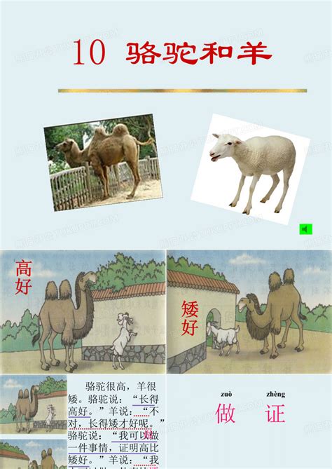 骆驼和羊成语故事小学一年级PPT模板下载_编号lgyyargl_熊猫办公