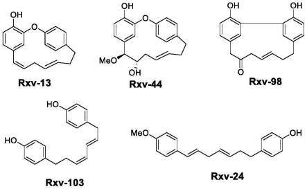 78294-17-4_螺[2.4]庚烷-4-胺CAS号:78294-17-4/螺[2.4]庚烷-4-胺中英文名/分子式/结构式 – 960化工网