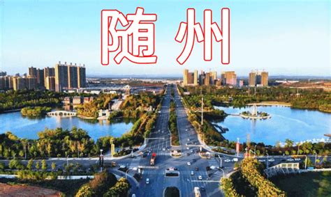 随州高新区鸟瞰图-随州市人民政府门户网站