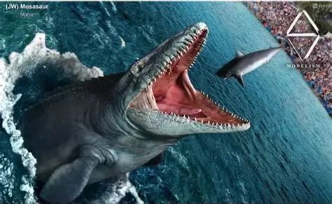 古生物学家发现长着鳄鱼嘴巴的怪异沧龙！_凤凰网历史_凤凰网