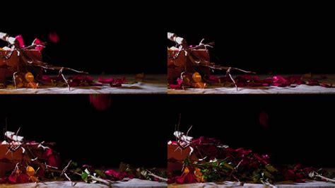 黑暗角落下枯萎的玫瑰花与花瓣撒落_视频素材下载_编号:8700950_光厂(VJ师网) www.vjshi.com