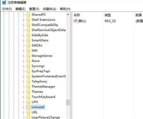 regclean pro破解版下载-win10注册表清理软件v8.45.81.1144 中文免费版 - 极光下载站