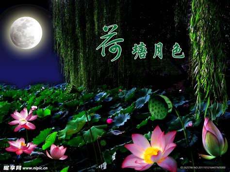 无颜月色图片