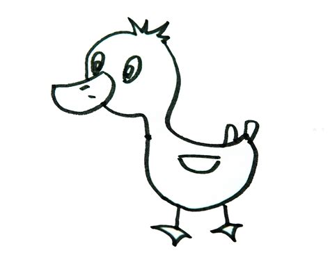 小鸭子的介绍和特点,鸭子的特征,小鸭子的特点写一段话(第3页)_大山谷图库