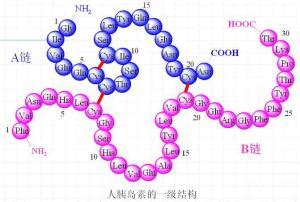 你了解产品里的肽类物质吗？今天就带你一次去看懂-行业报道-杭州固拓生物科技有限公司