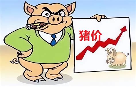 2022年猪价走势会怎样，猪价易跌难涨的原因是哪些因素造成的- 今日头条_赢家财富网
