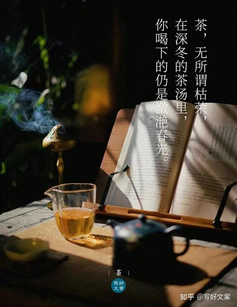 茶艺图片摄影图__传统文化_文化艺术_摄影图库_昵图网nipic.com