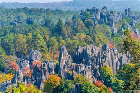【携程攻略】云南石林景点,这是大自然对于这片神奇红土地的厚爱，因此，才造就了这一由石头作“…