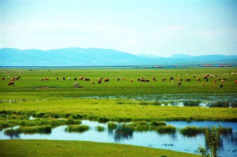 乌珠穆沁，一个美了千年的绝色草原-草原元素---蒙古元素 Mongolia Elements