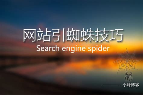什么是搜索引擎蜘蛛（网站长期不更新是什么结果）-8848SEO